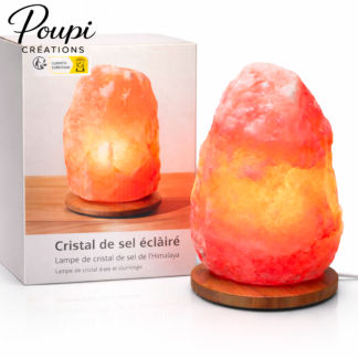 Lampe Cristal de Sel Himalaya 2-3 kg – Pierre Naturelle & Socle Bois