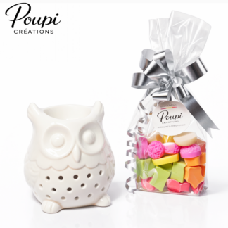 Coffret Cadeau Hibou – Brûleur Céramique Blanc & Fondants Parfumés Artisanaux